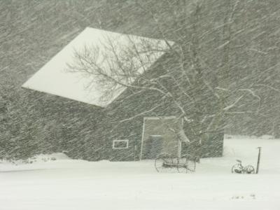 My Haystack... i return to this barn & ash tree all the time over these 3 years in maine...