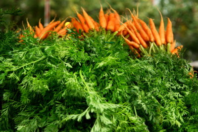 CARROT TOPS!!! portland market... please comment/vote your fave of the 4 recent lighthouses seen here