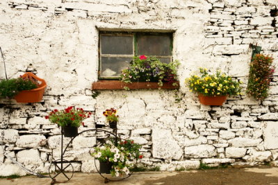 1707IRELAND FLOWERS   DSC00448.jpg upon seeing us stop in the mini... a women poked her head out from the peat fired home