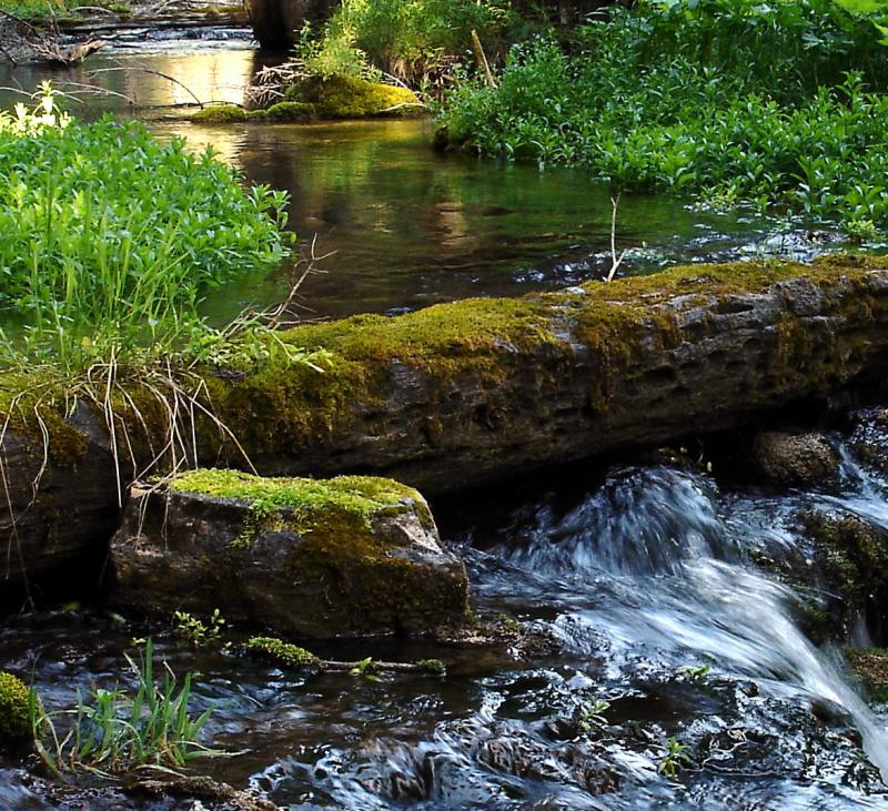 Fairy Bridge