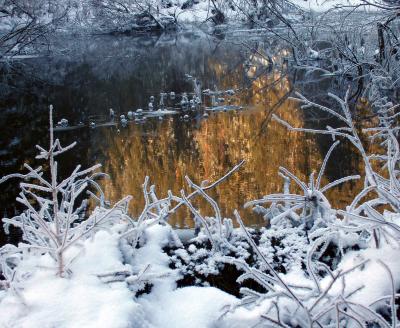 Ice Bubbles