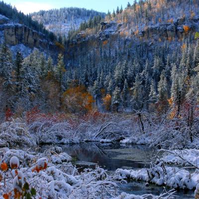 Fall Snow