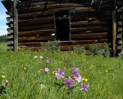 McInnerneys Ranch