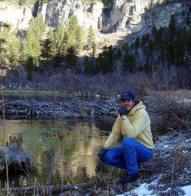 Beaver Dam