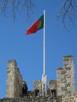 IMG_2065_1024.jpg