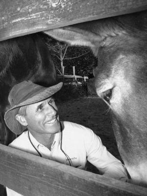 g3/00/514500/3/57528495.bernie_harberts_mules_01.jpg