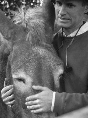 g3/00/514500/3/57528512.bernie_harberts_mules_07.jpg