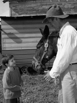g3/00/514500/3/57528547.bernie_harberts_mules_25.jpg
