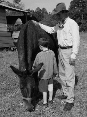 g3/00/514500/3/57528548.bernie_harberts_mules_26.jpg