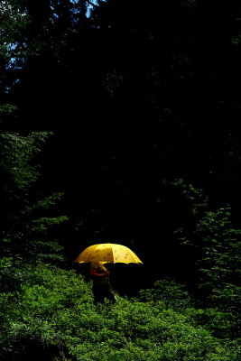 UMBRELLAbabette - PARAPLUIEbabette