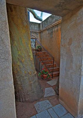 Doorway & Steps