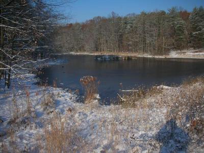 Goose Pond in December