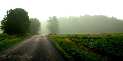 DE-Morning Fog