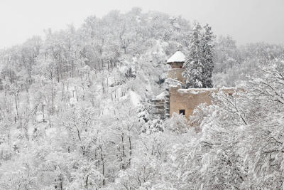 Schloss Birseck Winter