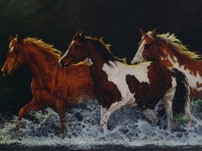 Three paint horses.