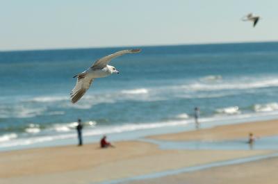 _DSC0037.JPG