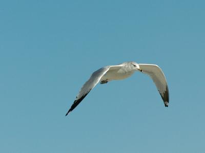 _DSC0074.JPG