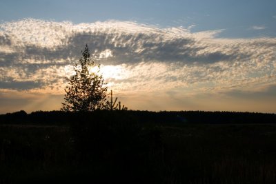 Image213.jpg