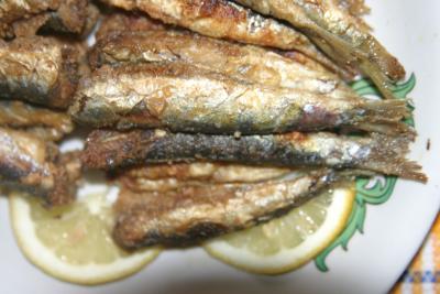algerian sardines,probably the most delicious sardines in the world