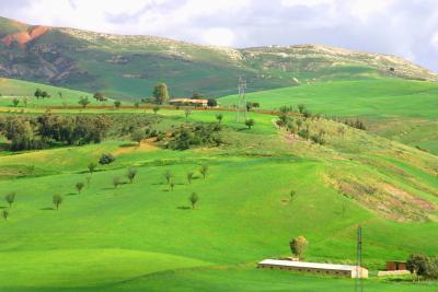 Medea,Algeria,so beautiful!