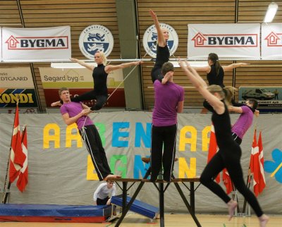 Gymnastik Aabenraa 2009-1 437.jpg