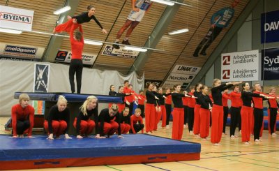 Gymnastik Aabenraa 2009-3 040.jpg