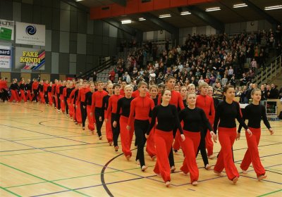 Gymnastik Aabenraa 2009-3 289.jpg