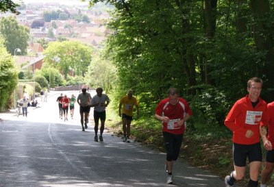 Bjergm.2009 510.jpg