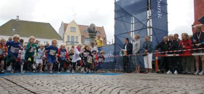 Bjergm.2009-1 026.jpg