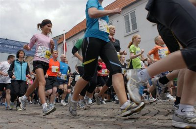 Bjergm.2009 778.jpg