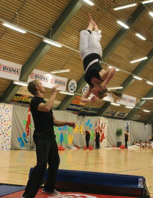 Gymnastikopvisning Aabenraa 2008 071.jpg