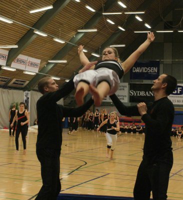 Gymnastikopvisning Aabenraa 2008 098.jpg