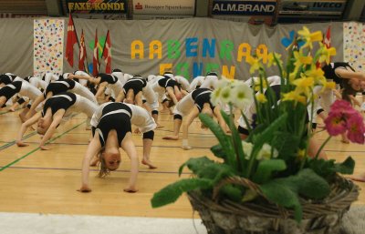 Gymnastikopvisning Aabenraa 2008 132.jpg