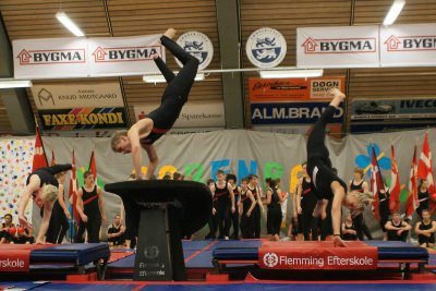Gymnastikopvisning Aabenraa 2008 166.jpg