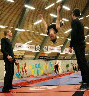 Gymnastikopvisning Aabenraa 2008 295.jpg