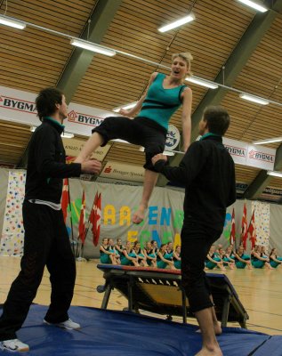 Gymnastikopvisning Aabenraa 2008-1 112.jpg