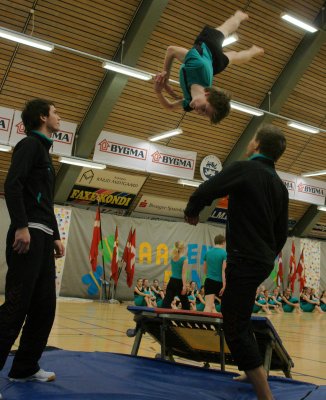 Gymnastikopvisning Aabenraa 2008-1 115.jpg