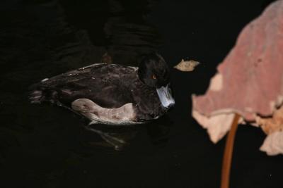 img_0728.jpg