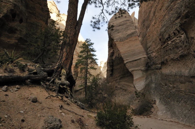 Tent Rocks Trail