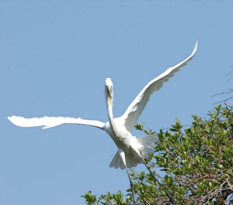 DSC_0173.jpg
