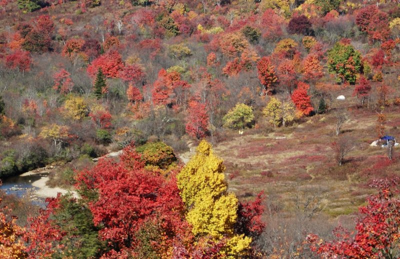 Campsite-Graveyard Fields.jpg