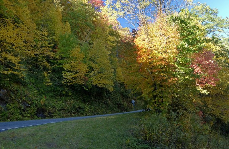 Sun reaching for National Forest Rd-2471.jpg