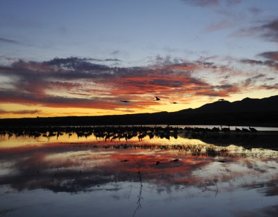 Bosque pond sunset