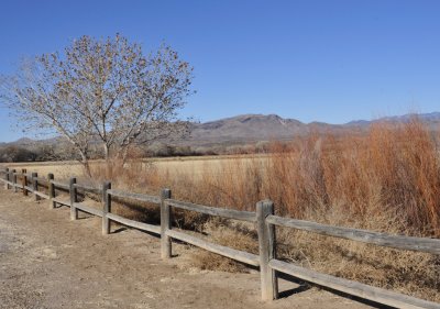 Fence