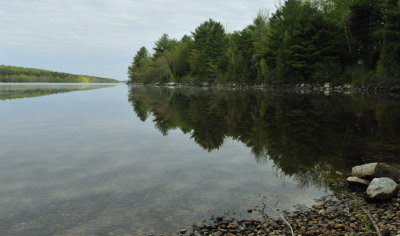 Great Pond6869.jpg
