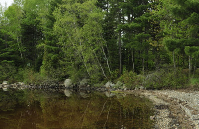 Great Pond6982.jpg