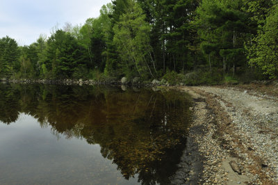Great Pond6983.jpg