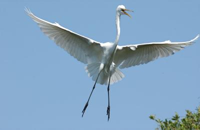DSC_0168.jpg