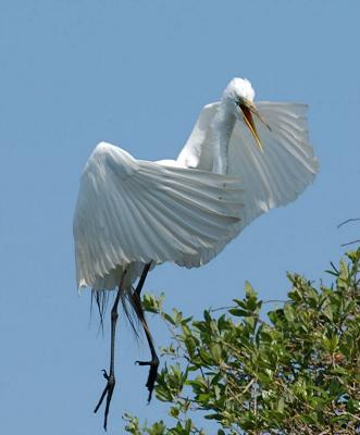 DSC_0172.jpg