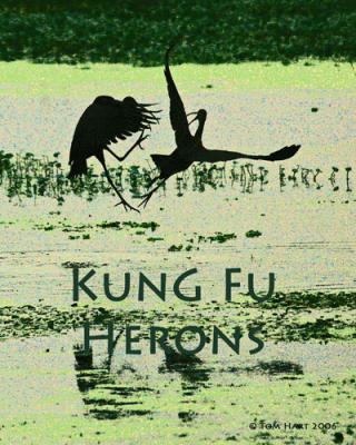 Fighting Heron
